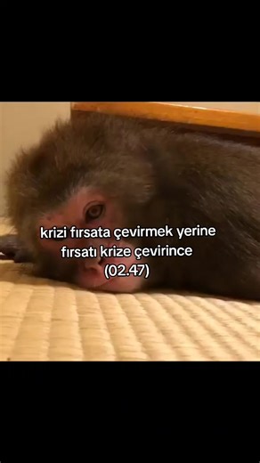 en aktifi #uyku #dert #depresyon #hayat #overthink