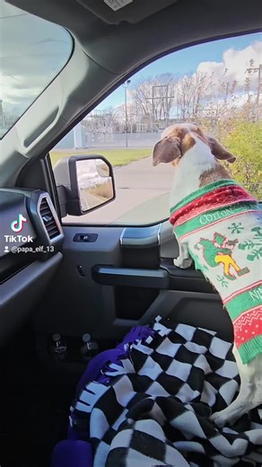 papa_elf_13 on TikTok