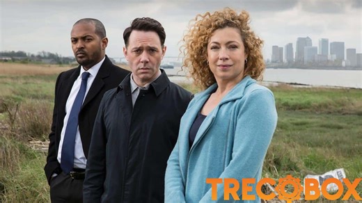 Chasing Shadows: A Policial Sobre Detetive Genial Solitário