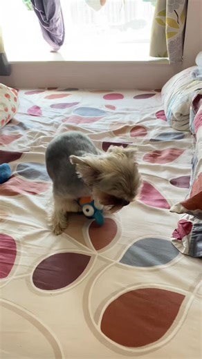 Roger C Carmel (@roger.c.carmel)’s videos with original sound - Roger C Carmel