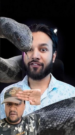 World’s Largest Snake Found In India