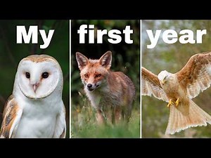 5 Wildlife Photography Tips for Getting Started