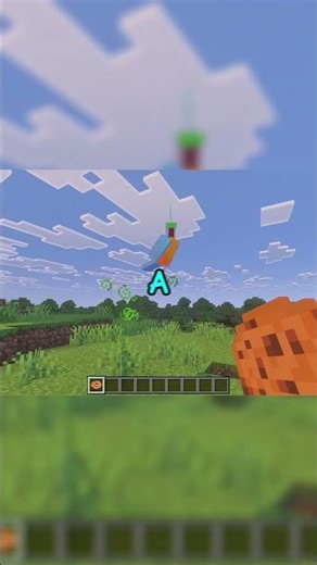 I don't know this about Parrots in Minecraft