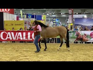 Freiarbeit mit Horst Becker