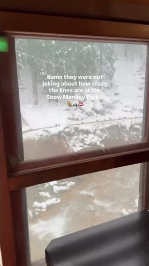 morning rush at 📍Jogokudai Snow Monkey Park With lots of recent viral vids showing the extensive