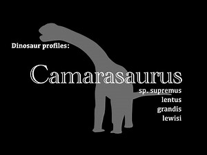 Dinosaur Profile: Camarasaurus