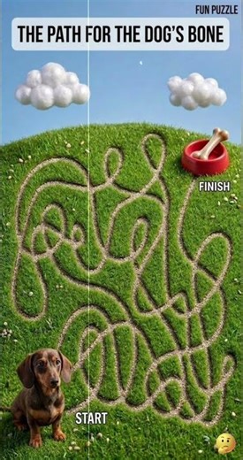 The Path for the Dog’s Bone: Grass Maze Puzzle #brainteasers #gaming #dogpuzzle #short