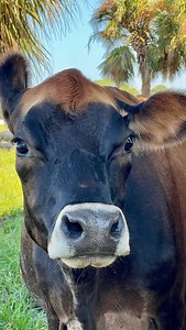 5.7K views · 1K reactions | If you’re going to go one place in...