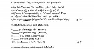 Grade 6 Sinhala.pdf