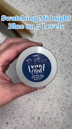 Swatching Midnight Blue on 5 Levels