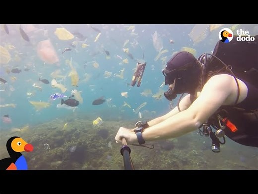 Earth Day 2018 - Plastic Pollution Awareness