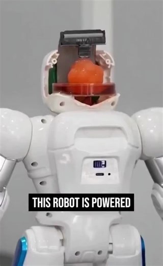 Intellarity on Instagram: "Chinese researchers have grown a cerebral organoid a simplified, lab-grown mini brain derived from human stem cells and successfully interfaced it with a robotic system. This allowed biological neural tissue to receive input, process information, and influence machine behavior. Cerebral organoids are not conscious brains; they are structured clusters of neurons that mimic certain aspects of early human brain development. By connecting these living neural networks to el