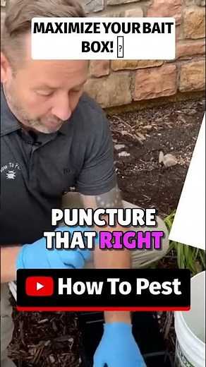 Total Rat Elimination! 🐀 Best Rodent Bait Stations