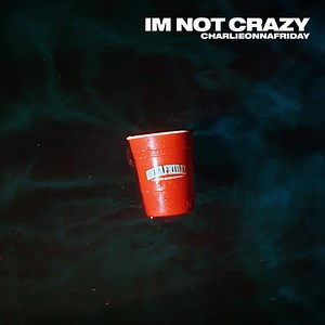 charlieonnafriday - I'm Not Crazy Lyrics
