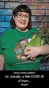 Cornfield Horror Movies for September's Full Moon