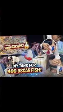 DIY Tank Setup for 400 Tiger Oscar Fish 🐟🔥 Massive Aquarium Build! Watch till end 👀#aquariumlife