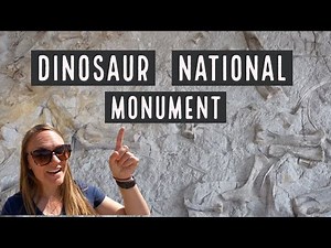 Dinosaur National Monument is Incredible! A Perfect Day Trip
