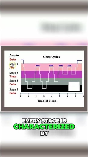 Sleep Stages Explained: Delta, Alpha, Theta Waves #shorts