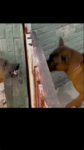 1.6K views | Online argument vs in person藍 | Vivian Imadojemu | Facebook