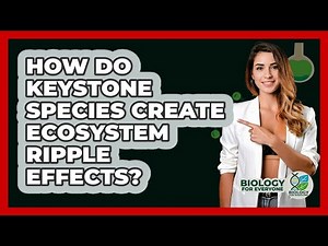 How Do Keystone Species Create Ecosystem Ripple Effects? - Biology For Everyone