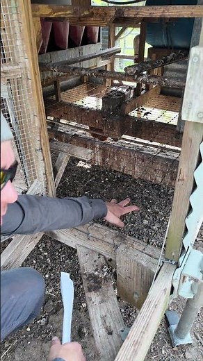 Proper Flooring for Chicken Coop