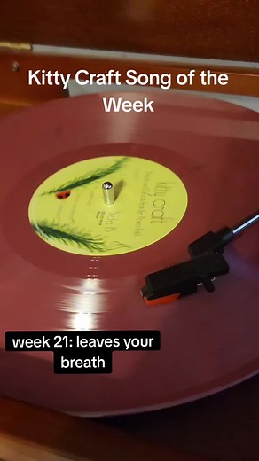 I don't know what to caption anymore but 🔥 #kittycraft #kittycraftband #indie #music #foryoupage