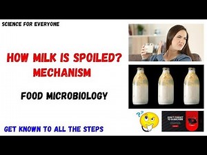 Spoilage of milk (1.5): Dr. P K Mandal