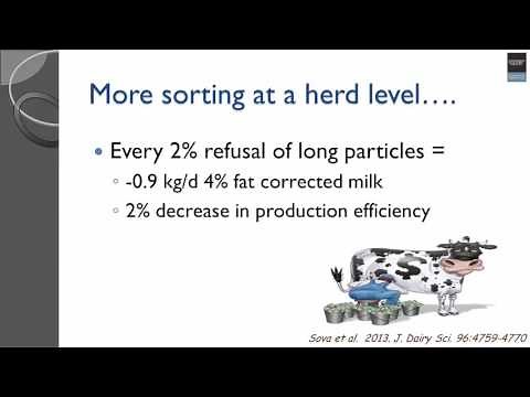 Optimizing Production by Managing How Dairy Cows Eat