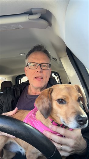 ᴘᴇʀʀʏ ɴɪᴄᴋᴇʟsᴛᴏɴ D.C. TᕼE ᒪYᗰᑭᕼ ᗪOᑕ on Instagram: "Lucy and I sharing the #1 SPOT to work on in the entire body to change pain and change your life. Comment ‘SPOT’ and I will send you a video on how to help it yourself and for others. I never start anywhere else. This is the place I begin all of my manual therapy no matter where you hurt. It’s a non-negotiable. When you understand the anatomy and physiology of the SPOT you will see why. And that’s exactly what I will teach you in the video. Get 