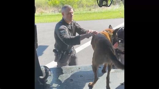 K9 helicopter familiarization day. Are you ready for your career to take off? https://joinstatepolice.ny.gov #k9 #k9training #helicopter #CareerOpportunities | New York State Police