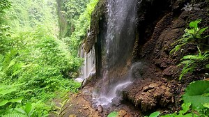 1 Hour of Soothing Waterfall Sounds in Tropical Rainforest: Nature Sounds for Sleep, Relaxation, and