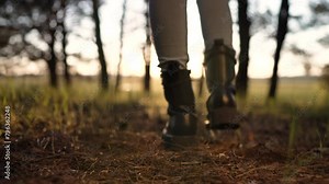 Autumn forest nature in park. Woman girl travels. Active trekking freedom of travel. Hiking in the forest. Summer long walk. Legs distance walking. Sports walk in open air. legs close-up in the forest