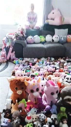 all of my 343 beanie boos