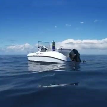 42K views · 97 reactions | Did you know WD-40 can displace moisture from wet engines? https://www.wd40.com/uses-tips/boating | WD-40 | Facebook