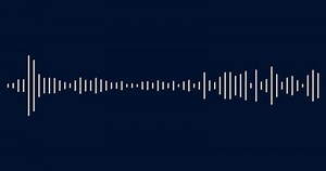 Sound wave. Visualization sound graphic element.