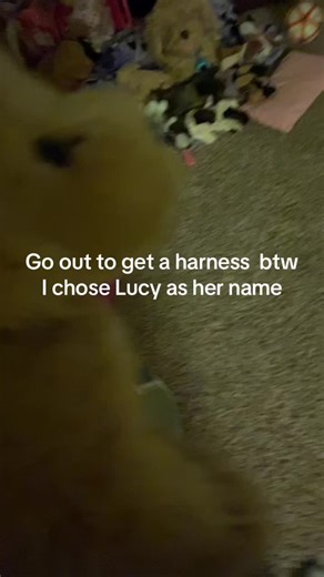 Te 3 musketeers (@thethree.musketeers_essa)’s videos with Christmas Kids - CXRSOUNDS™