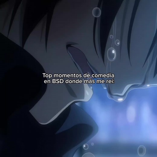 Bungou Stray Dogs: Personajes y Relaciones