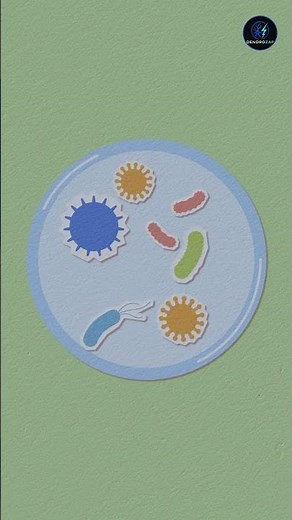 Bioluminescent Bacteria: Living Light Explained