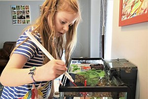 5-year-old Pine girl teams with pet fish to take gold at Betta Winter Olympics
