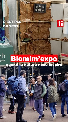 🌳 Rassemblement annuel des acteurs du biomimétisme qui s’inspirent de la nature pour innover, Biomim’expo est l’occasion de réfléchir à des façons de mieux respecter l’environnement. Alain Renaudin, fondateur du salon, s’exprime au micro de RFI. 📲 Retrouvez l’émission C’est pas du vent en cliquant ici : https://rfi.my/Agp7.f 📹 François Porcheron/RFI | RFI