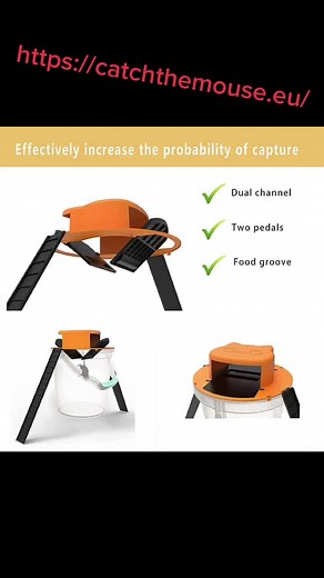 CatchTheMouse na TikTok