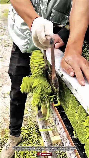 DIY Tool Fern Cutter to Perfect Trimming And Prepare Vegetable Bundles #ToolHolder