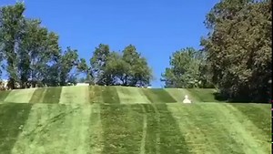 15 reactions | #golfboarding is #golf at the speed of FUN ‍♂️⛳️ #surftheearth #playfaster #playbetter #golfboard | GolfBoard | Facebook