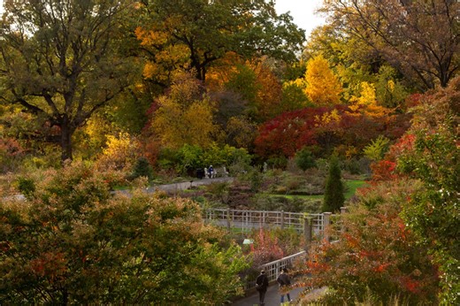 Brooklyn Botanic Garden's Fall Festival tickets now available
