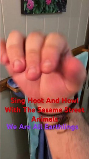 Sing Hoot And Howl With The Sesame Street Animals We Are All Earthlings