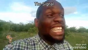 30K views · 1K reactions | The Signal | Zambian TV | Facebook