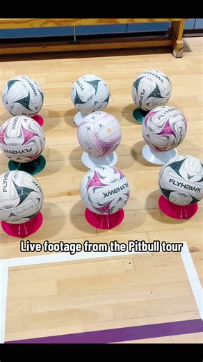 Experience the Excitement of the Netbull Concert