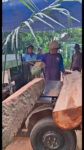 60K views · 364 reactions | Ketrampilan mengagumkan mengiris kayu mahoni tua. #gergajiserkel #kayumahoni | Arni Suwarni | Facebook