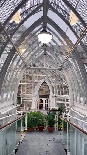 Come with me to the Westmount Library! 📚 📍4574 Sherbrooke St W #booktok #books #library #garden #bookreview #preownedbooks #montreal #canada