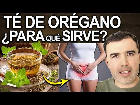 TE DE OREGANO TODOS LOS DIAS - Para Que Sirve, Beneficios Y Contraindicaciones Para Tu Salud